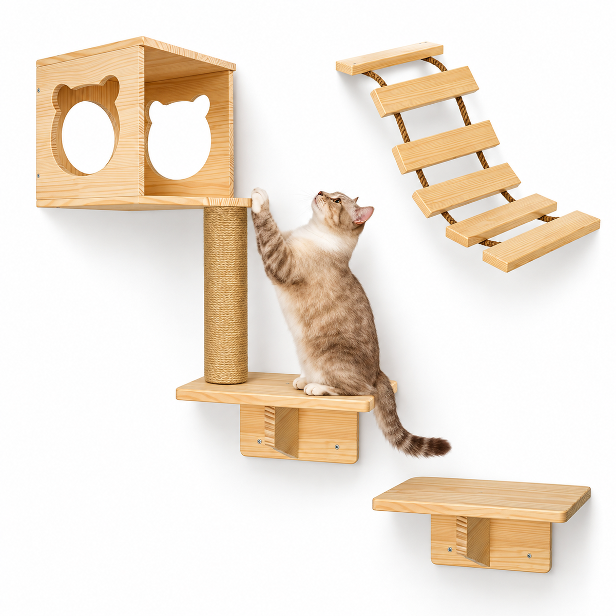 Parcours Mural en Bois pour Chat – Niche, Plateformes & Échelle d’Escalade