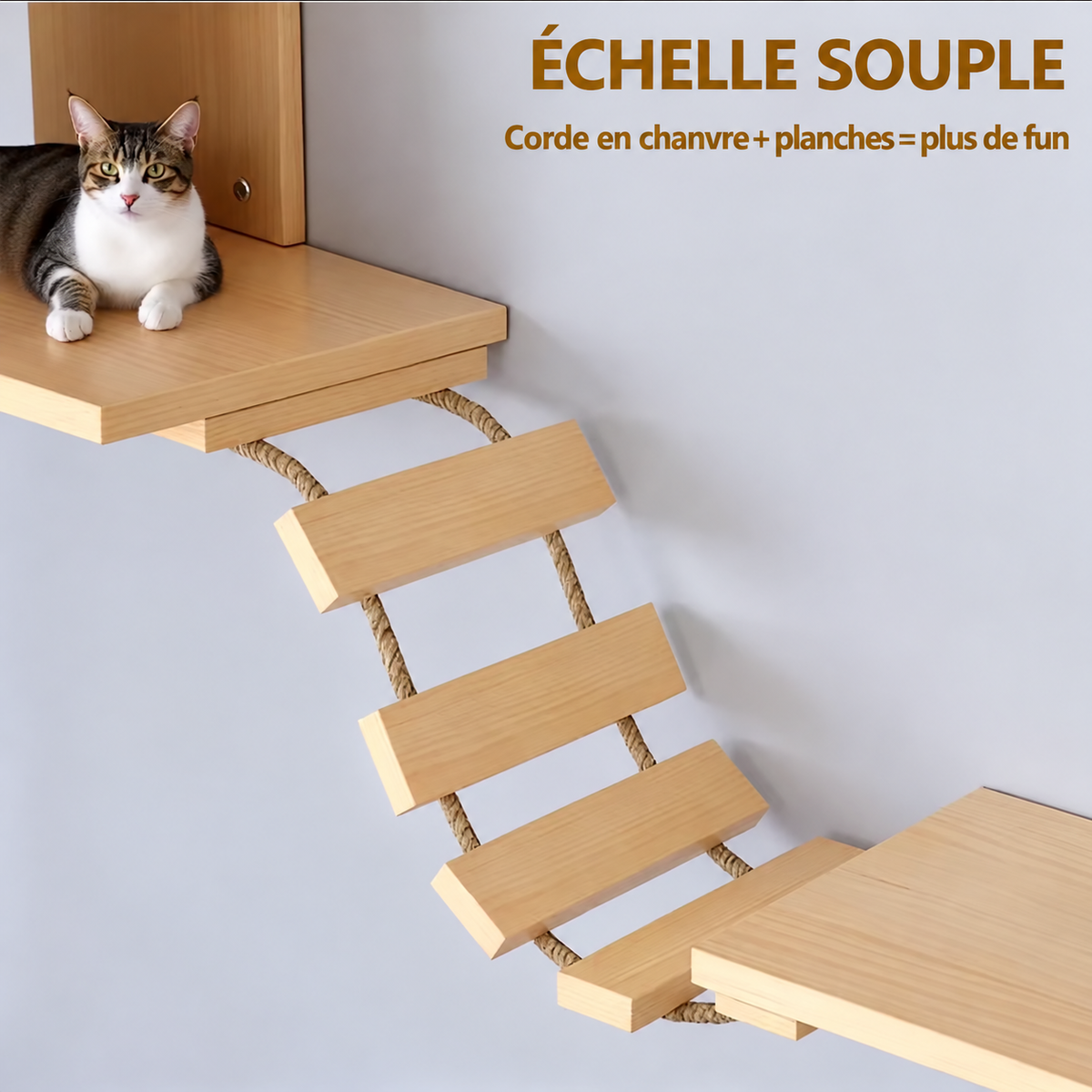 Parcours Mural en Bois pour Chat – Niche, Plateformes & Échelle d’Escalade