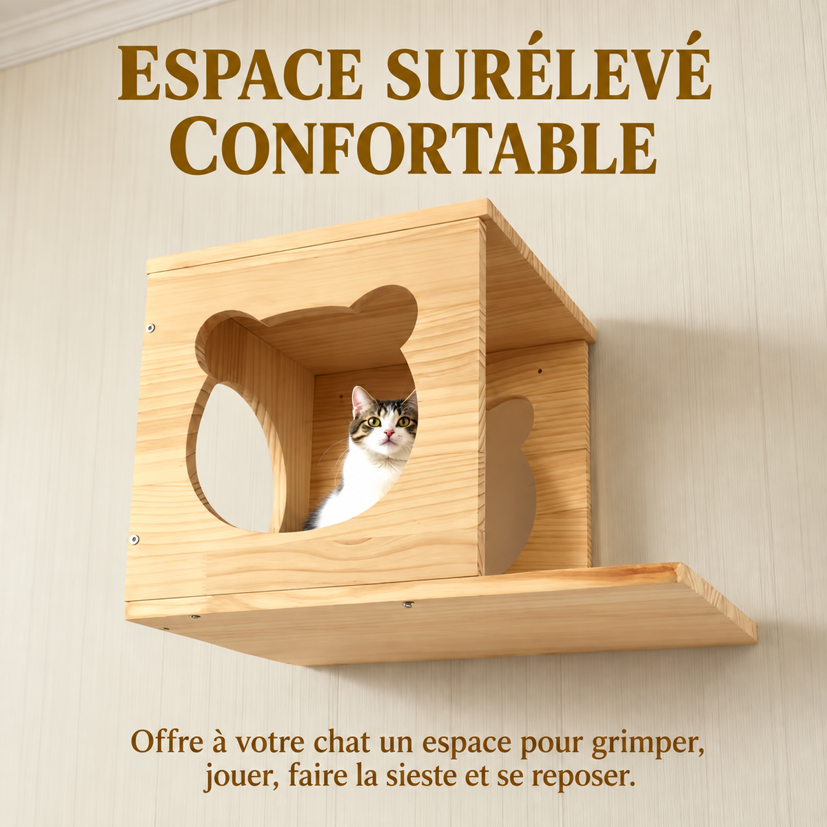 Parcours Mural en Bois pour Chat – Niche, Plateformes & Échelle d’Escalade