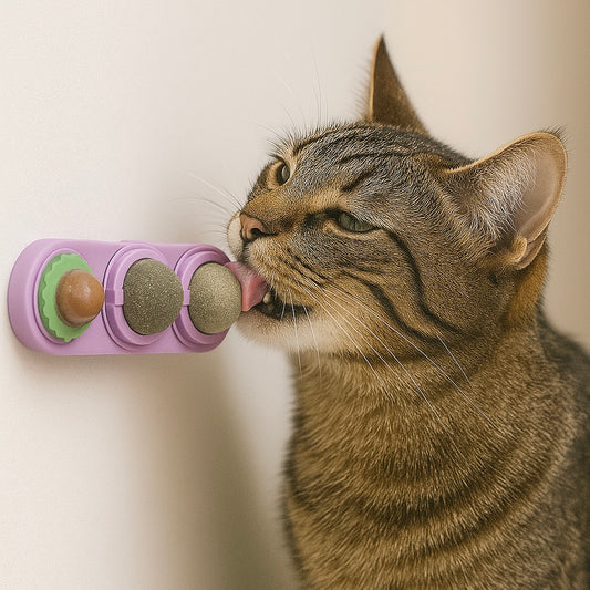 Friandises murales 4 en 1 pour chat
