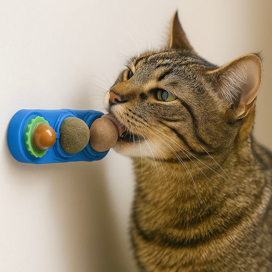 Friandises murales 4 en 1 pour chat