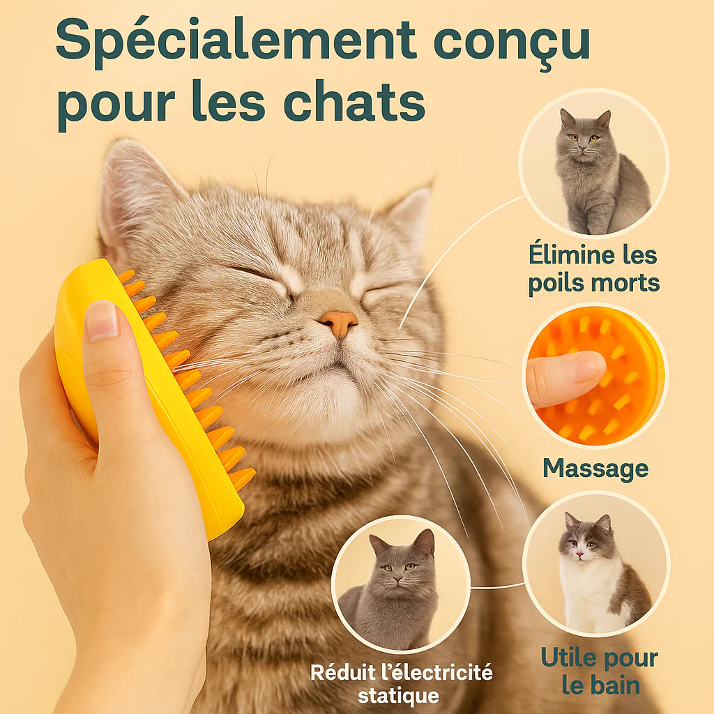 Brosse massante et démêlante à vapeur